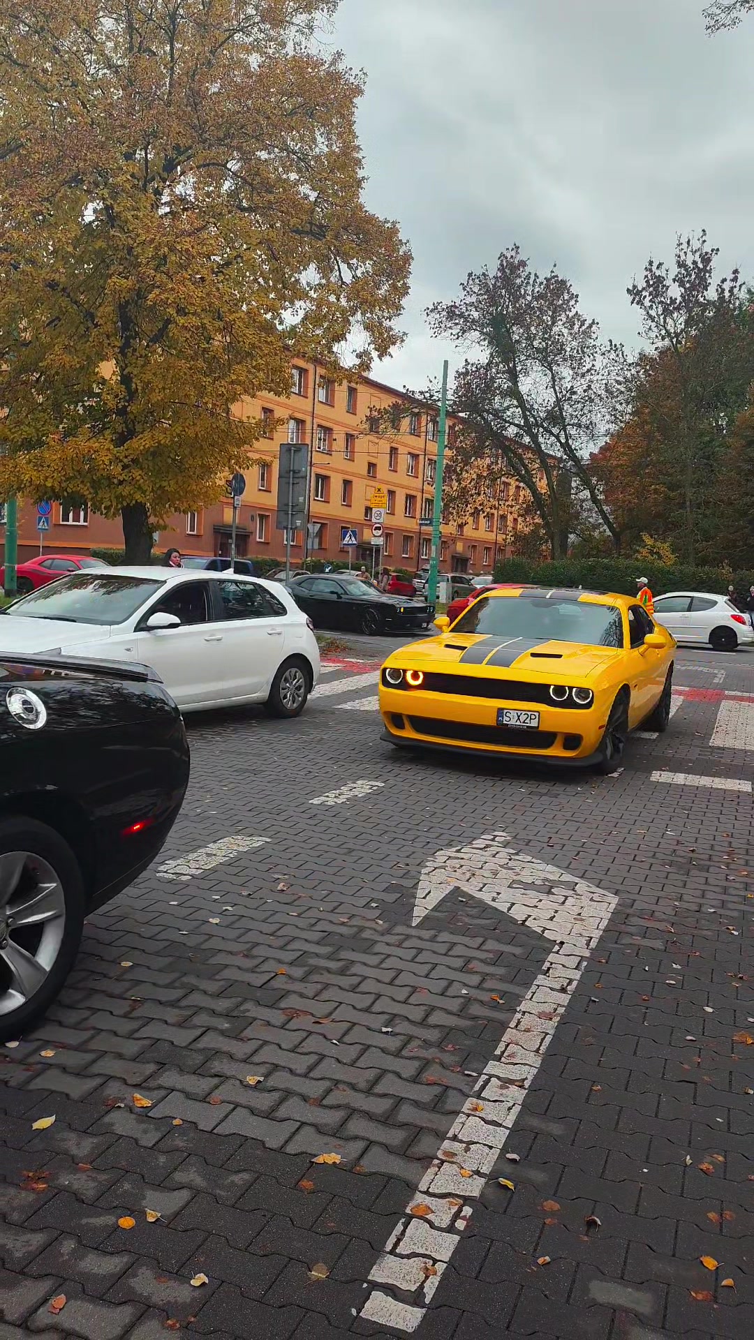 @Kuba Borys Kujszczyk