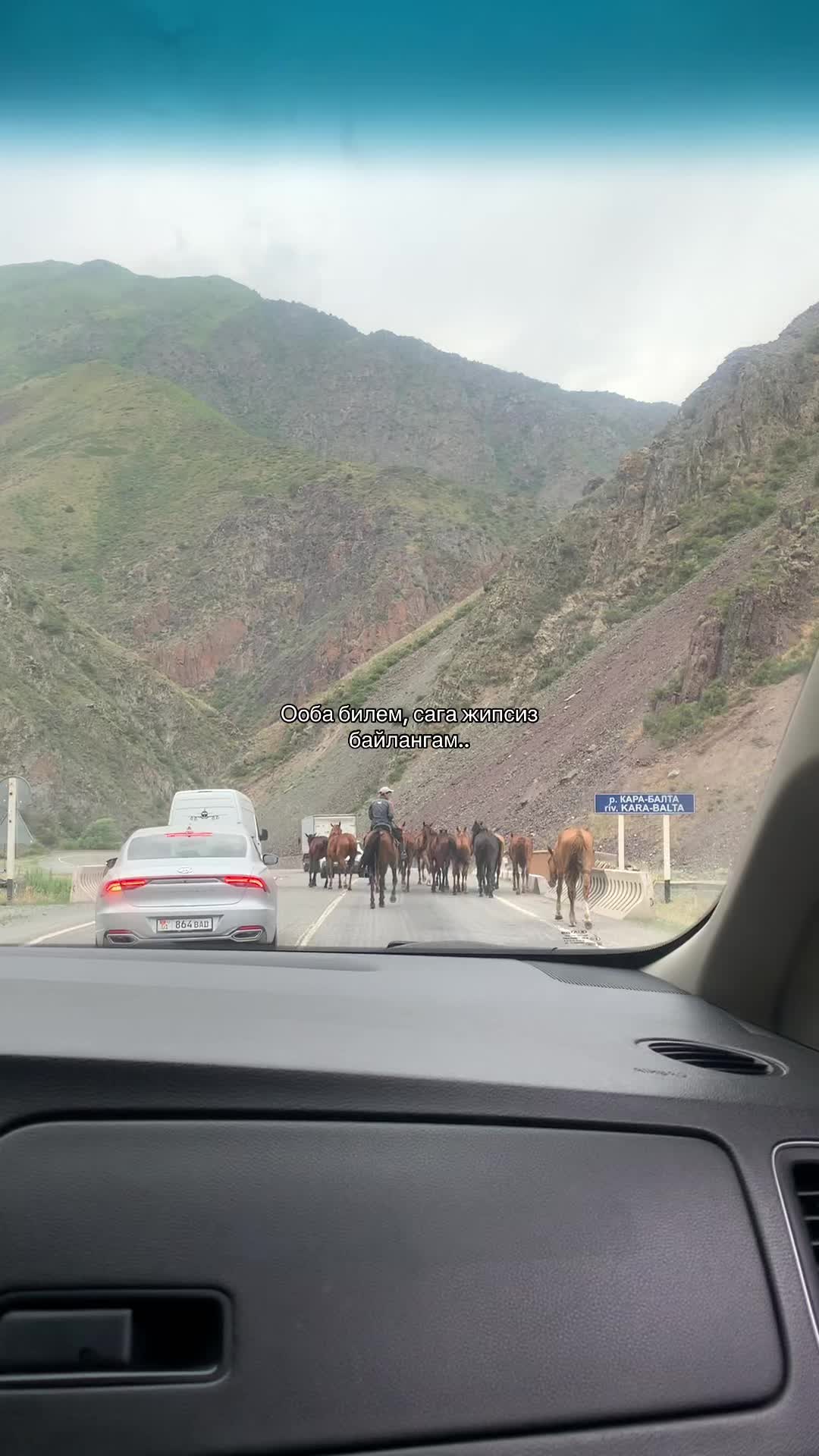 @nasirovа🇰🇬