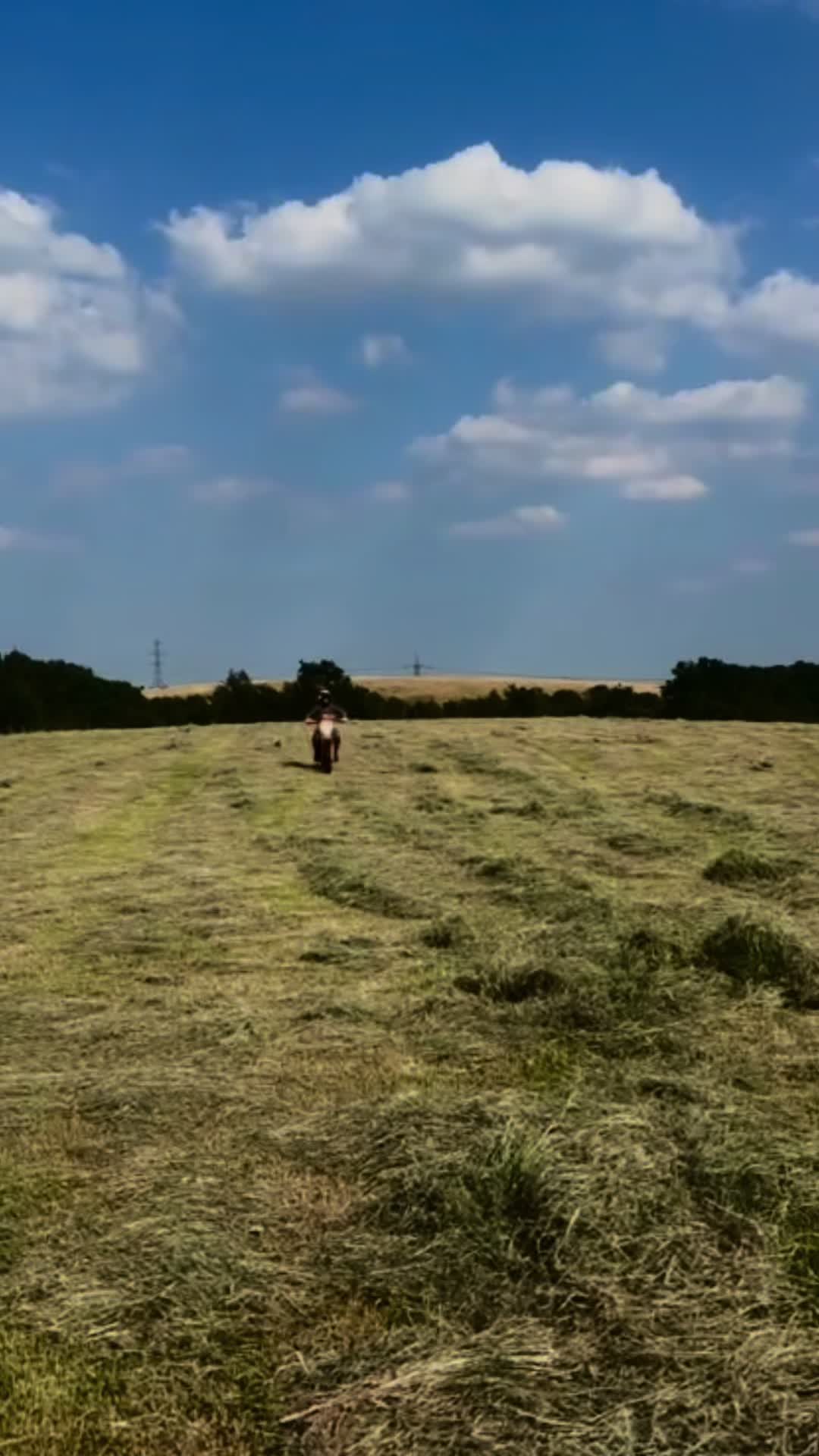 @𝐃𝐀𝐈𝐒𝐘