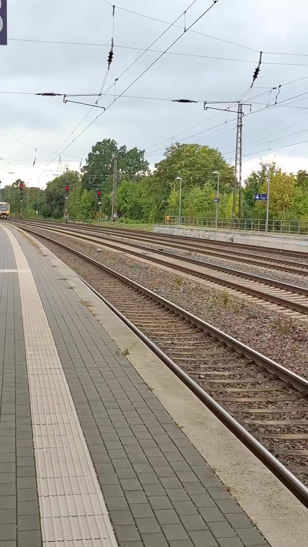 @Angeln und Z&uuml;ge 🇩🇪🚆🇩🇪🎣