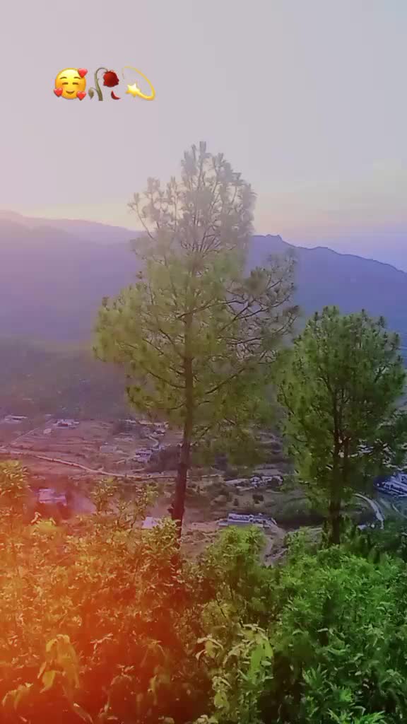 @💫 UsMaNoo 💫