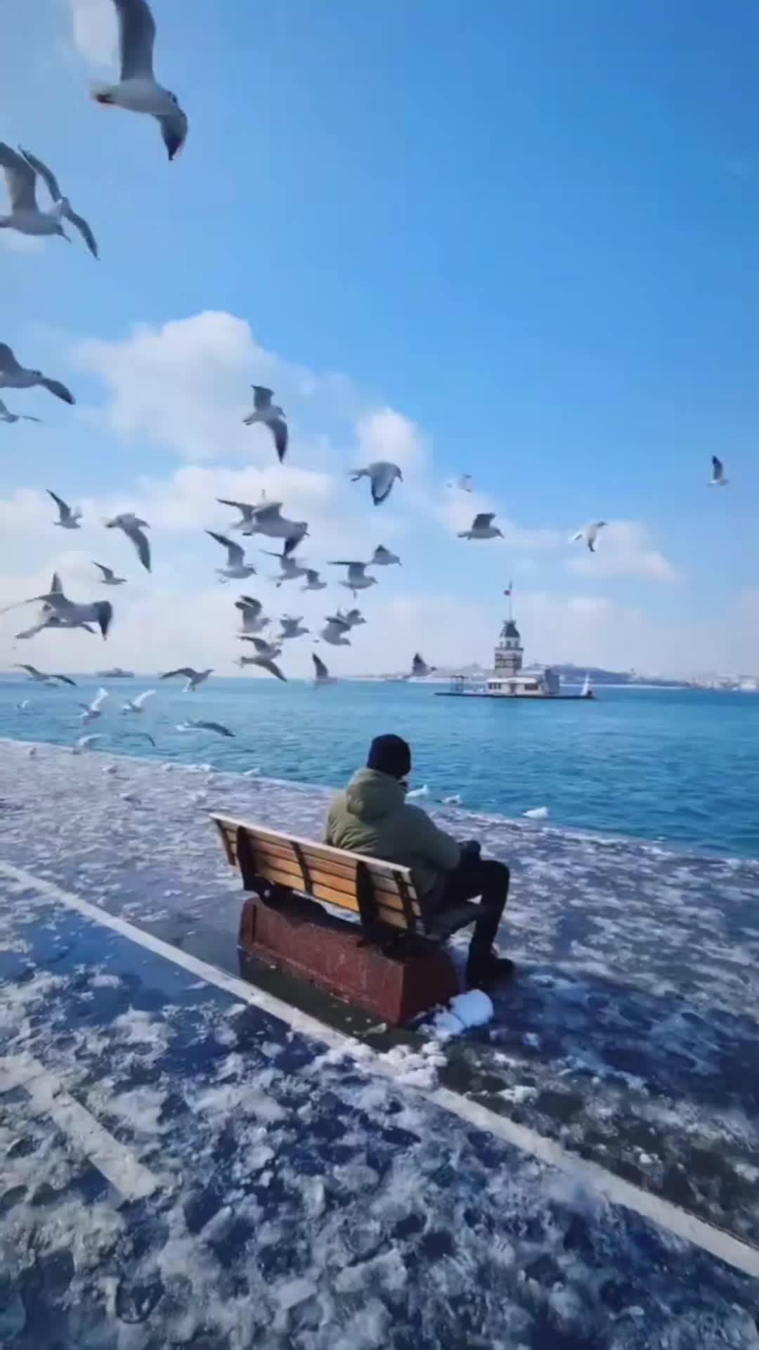 @Rio12345