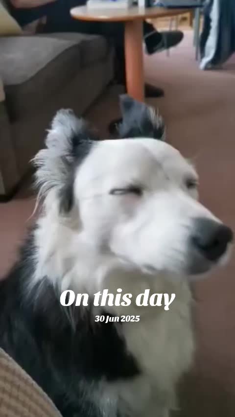 @BrummyAdz