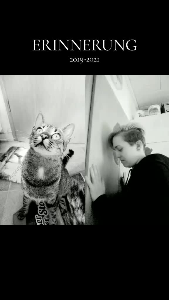@😸 Alex 😸