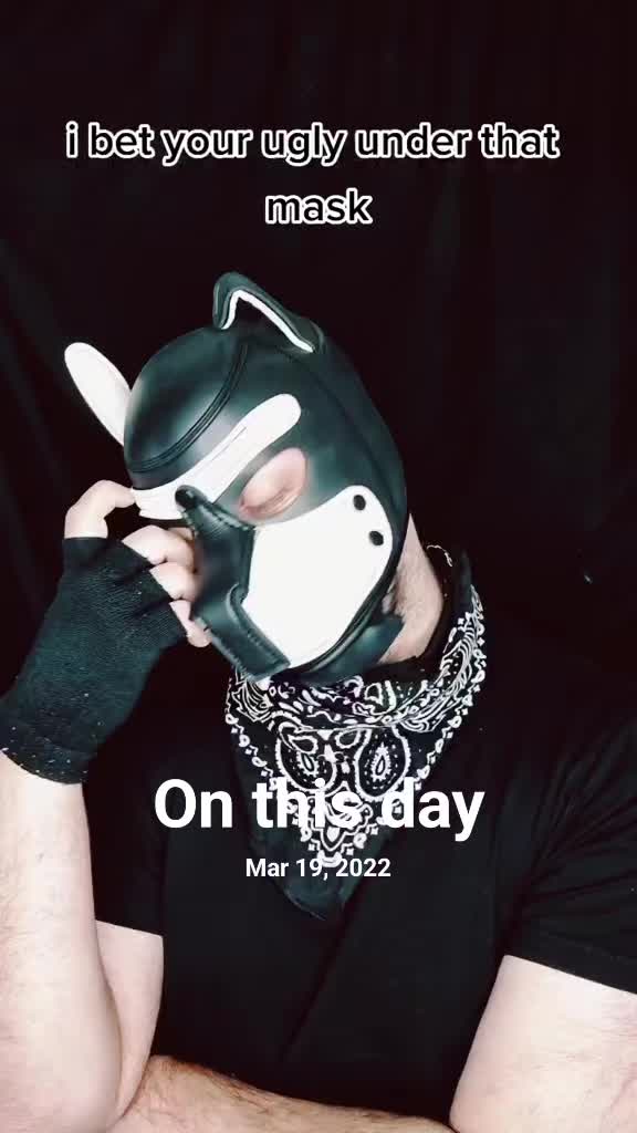 @Pup_Koba