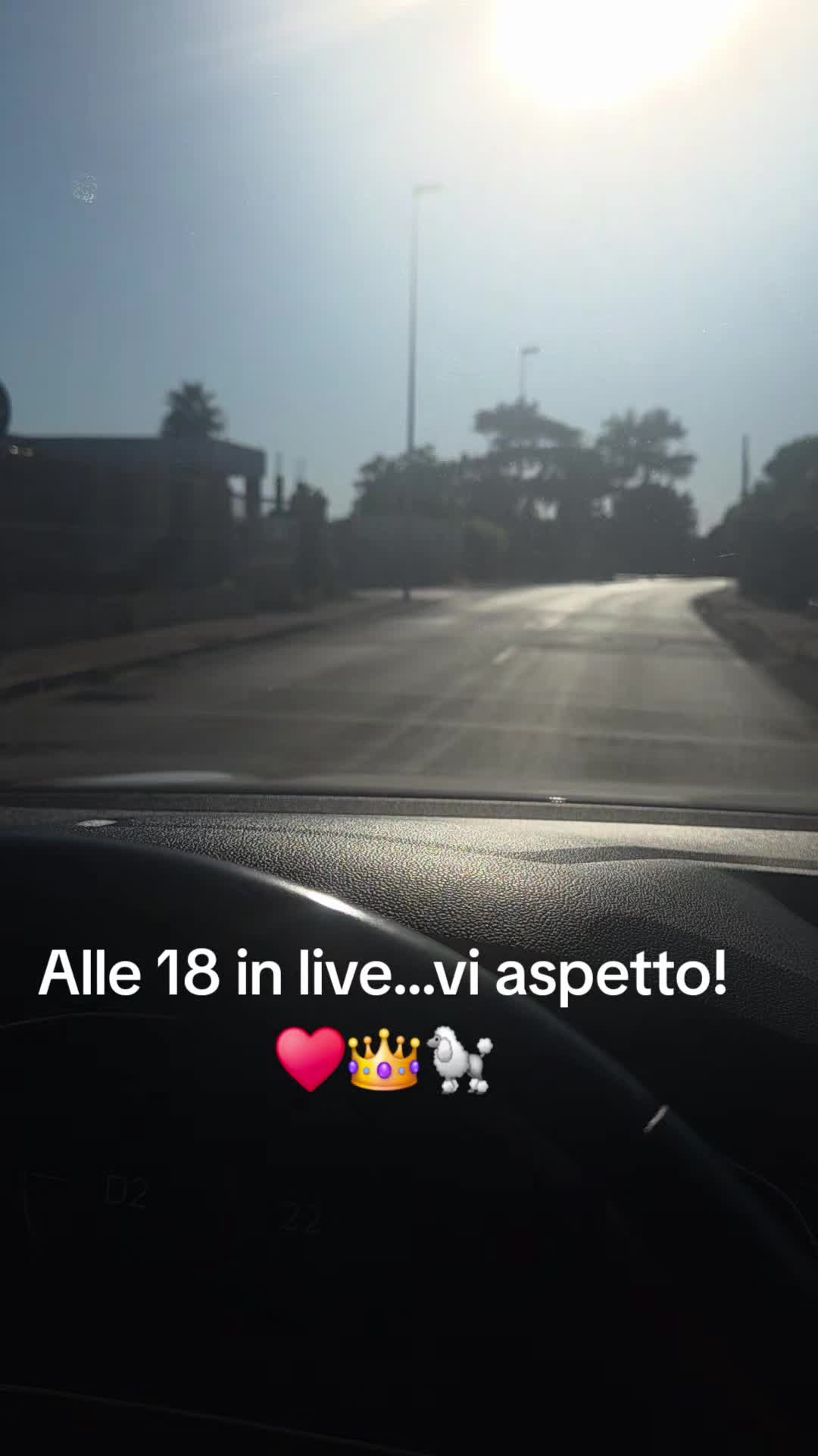 @CandyQueen👑🐩