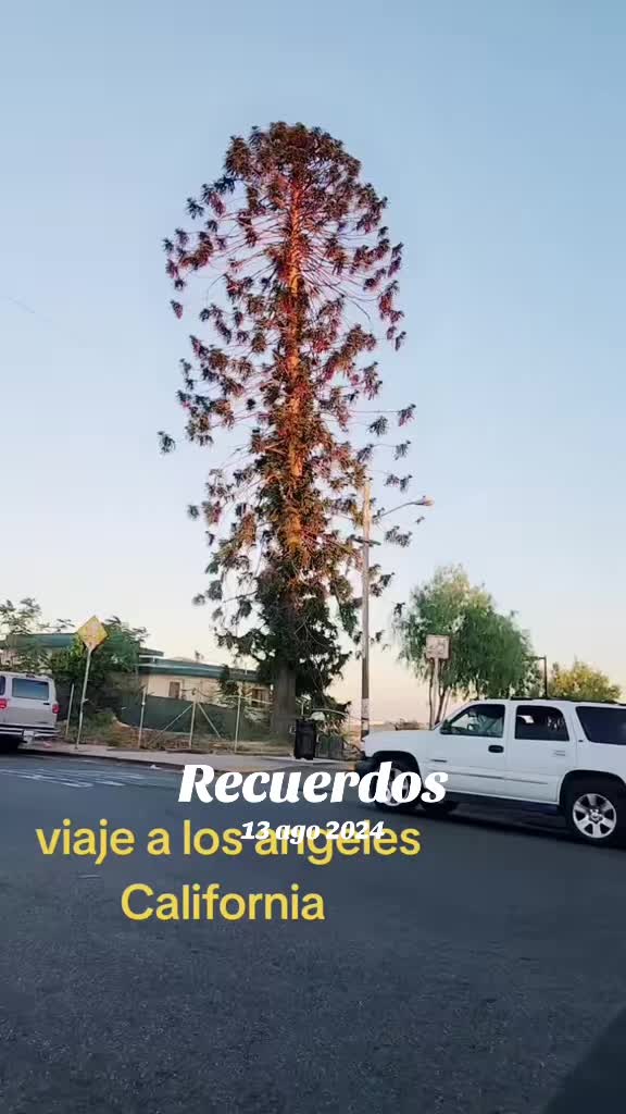 @Champion Cervantes