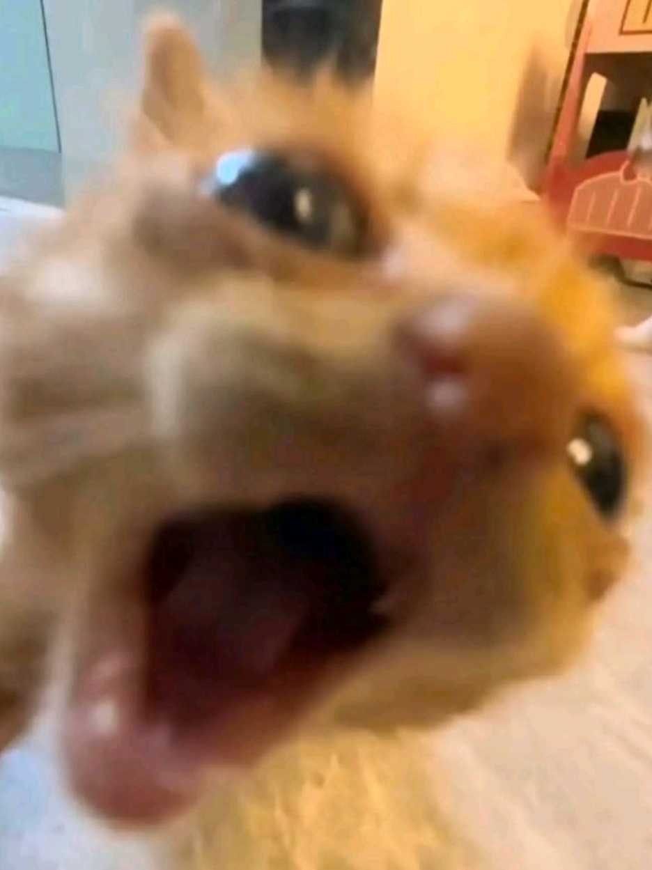 @°๐๏ฝกhollie°๊ฉ•