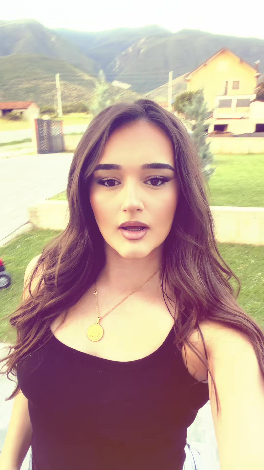 @Aulina Hajdari