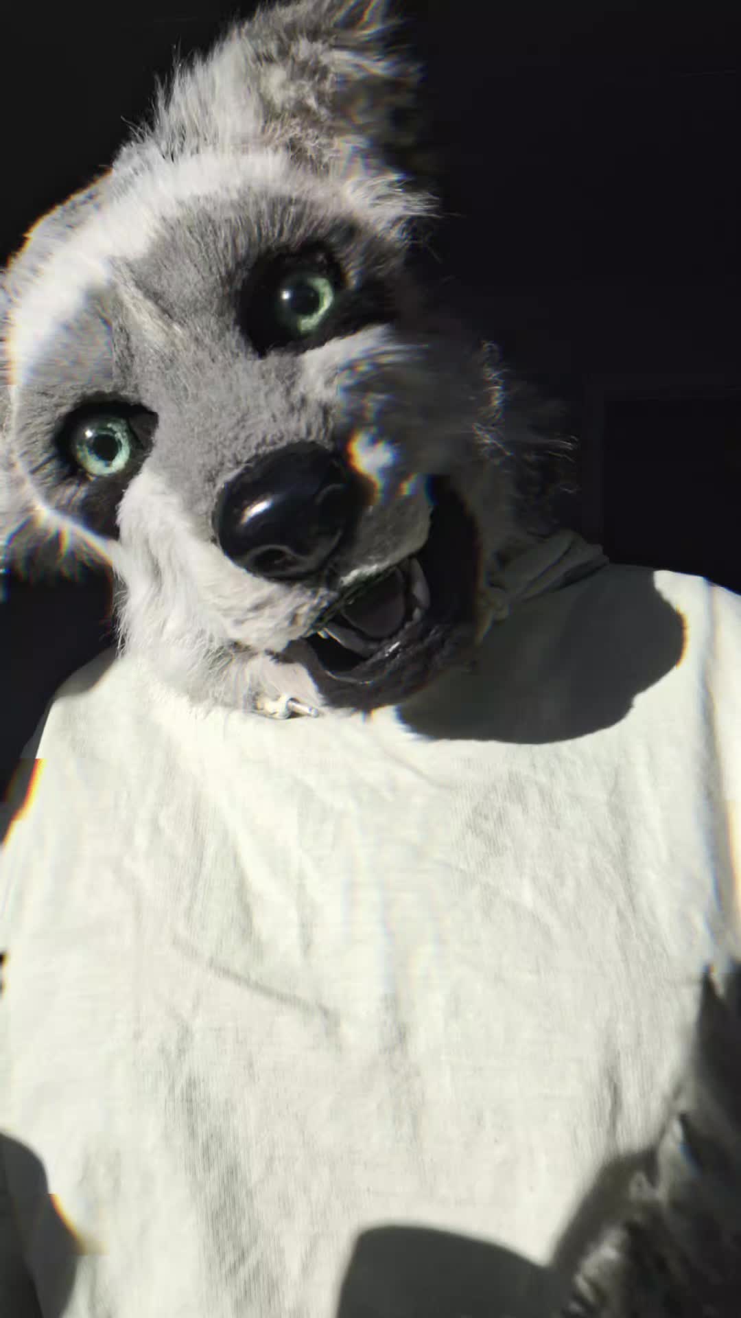 @ℂ/𝕃 🌟