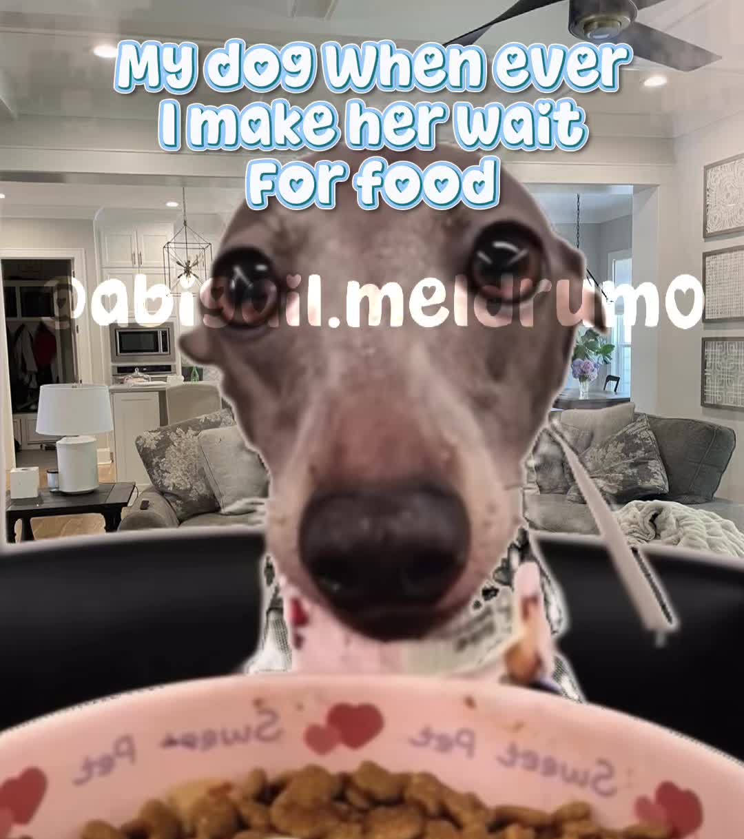 @Silly_Queen