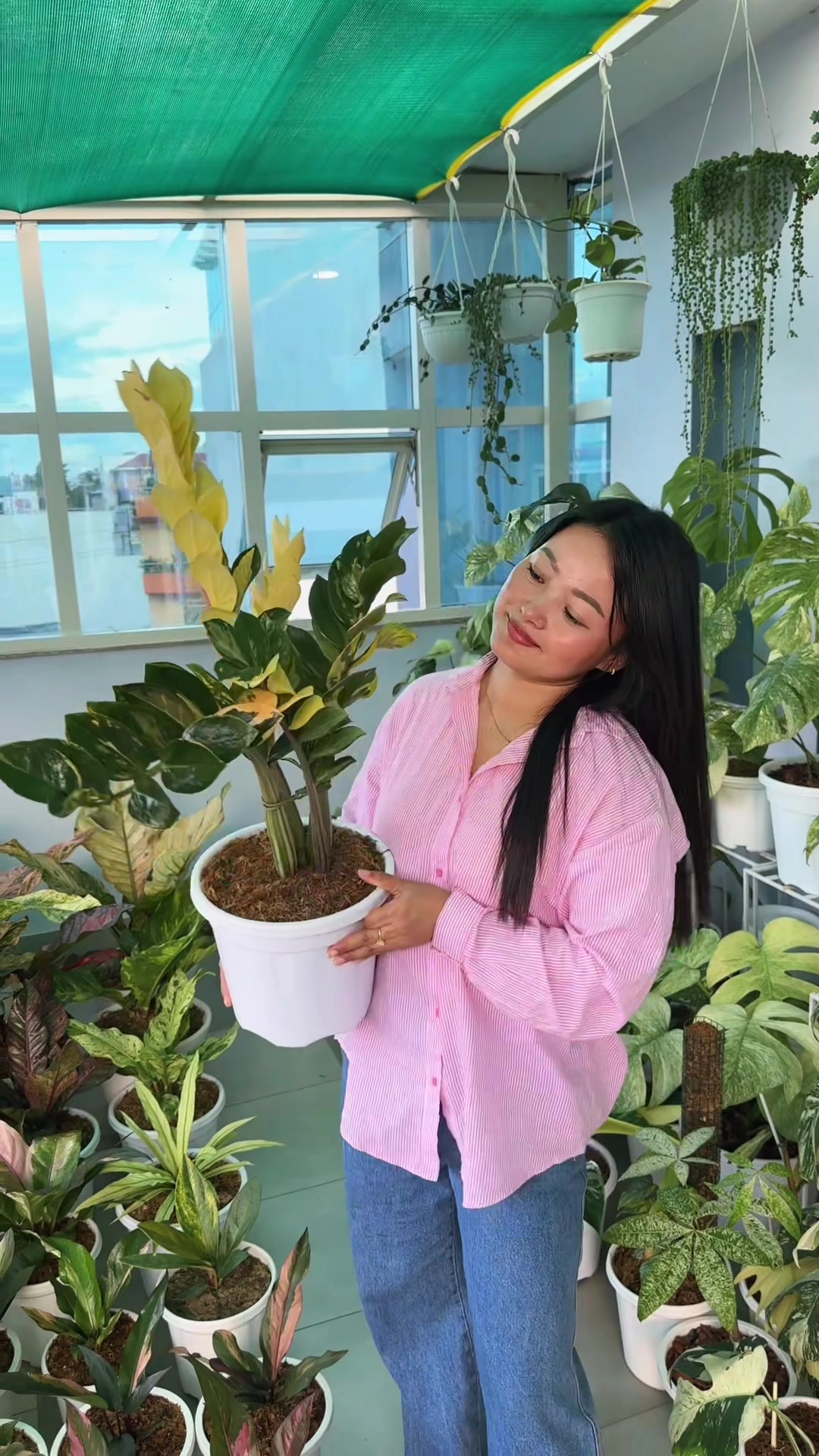 @Plantlife50