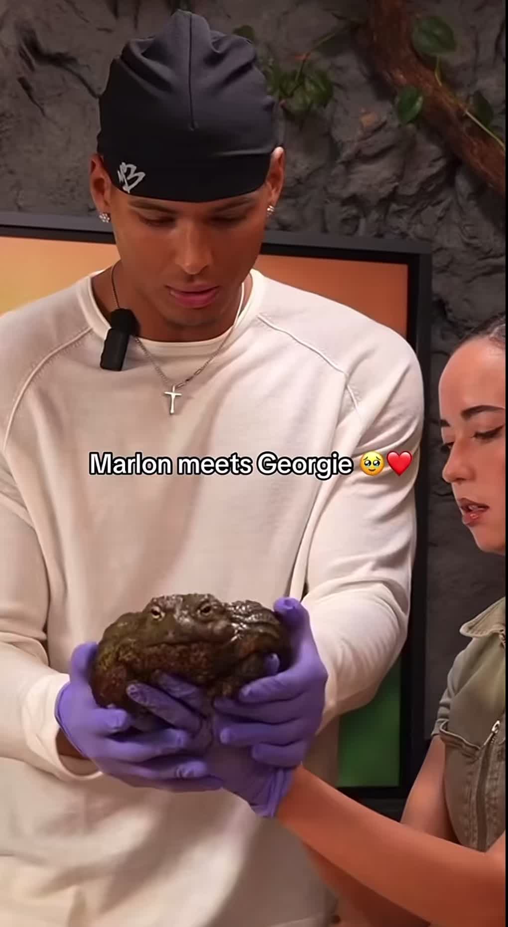 @𝓗𝓾𝓼𝓵𝓮𝓻