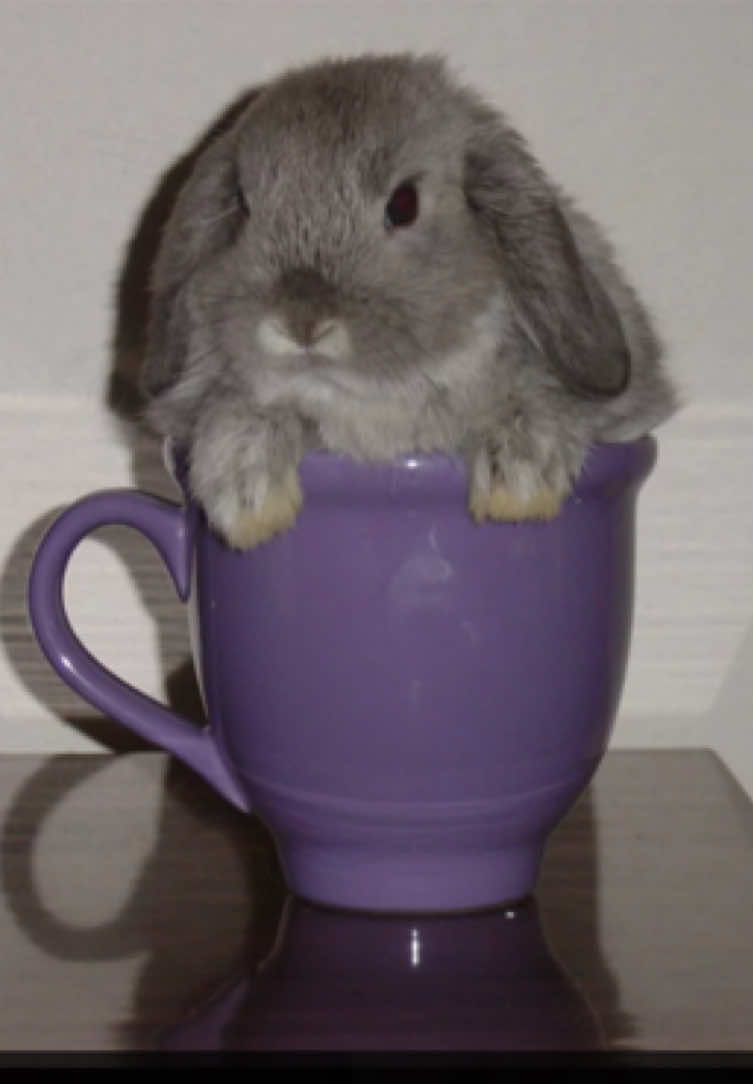 @лезвие