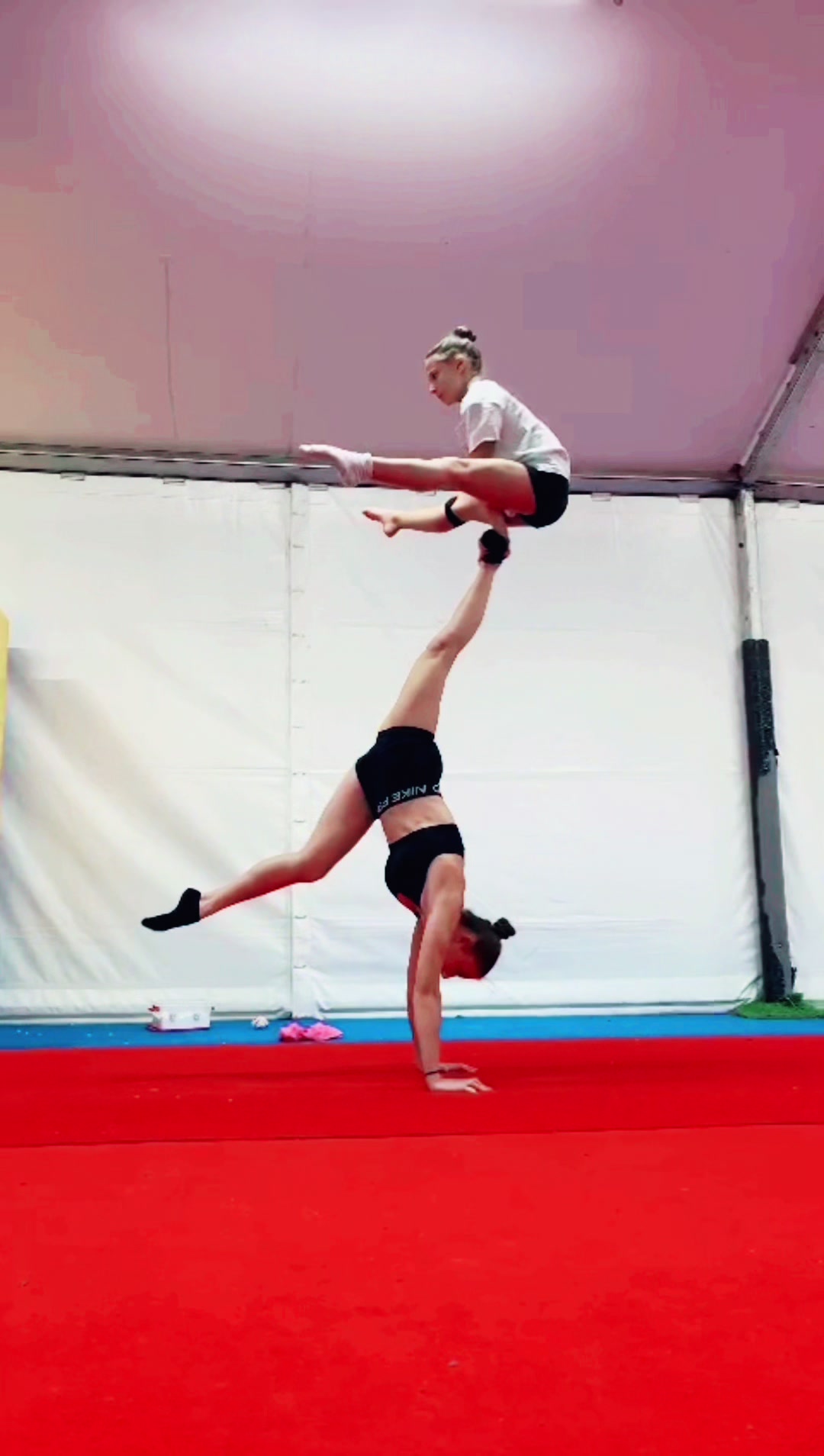 @asd acrotigers🧡🖤