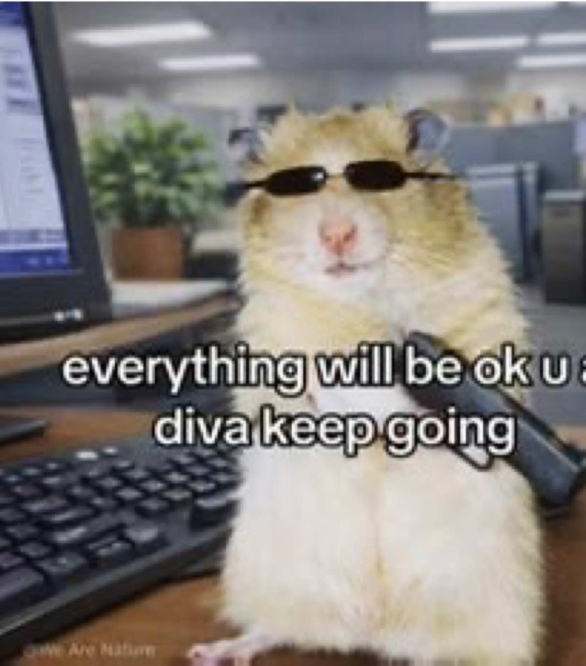 @tisa
