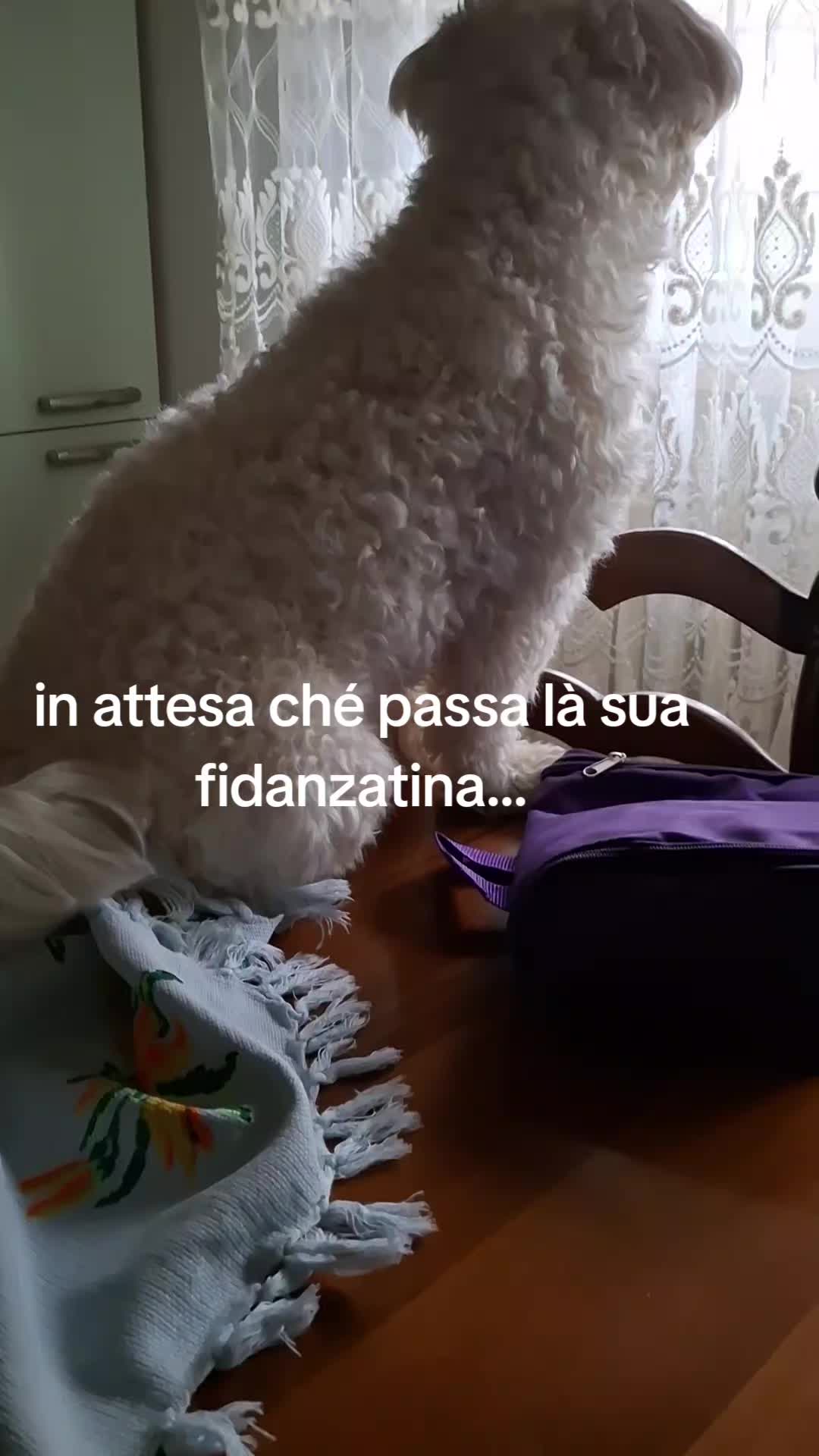 @Luigi Castaldo