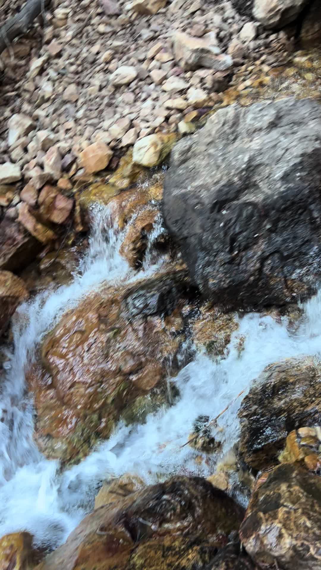 @Wild Fowler 🏔️🥾⛰️