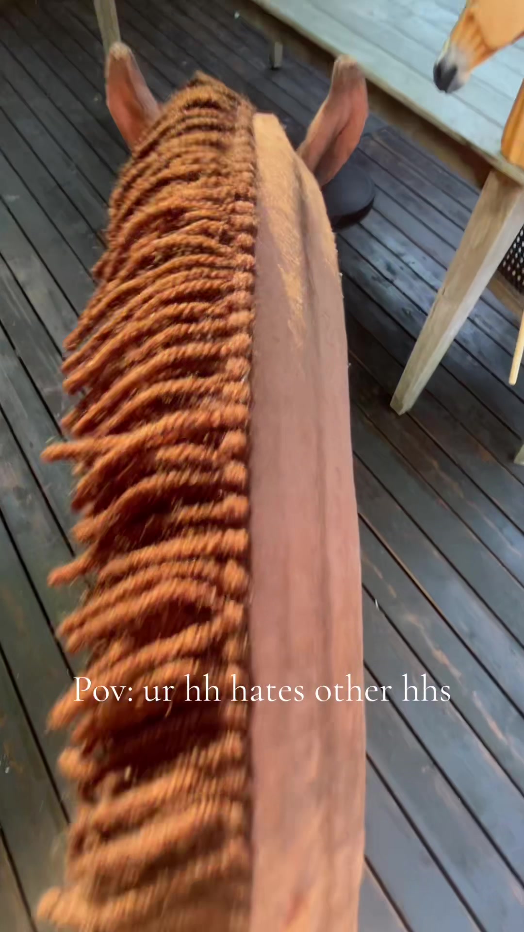 @zhobbyhorse