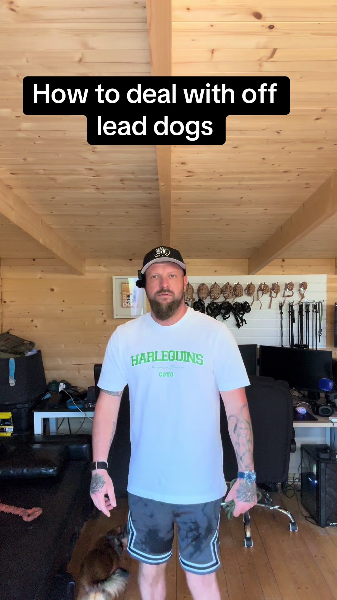 @SouthendDogTraining