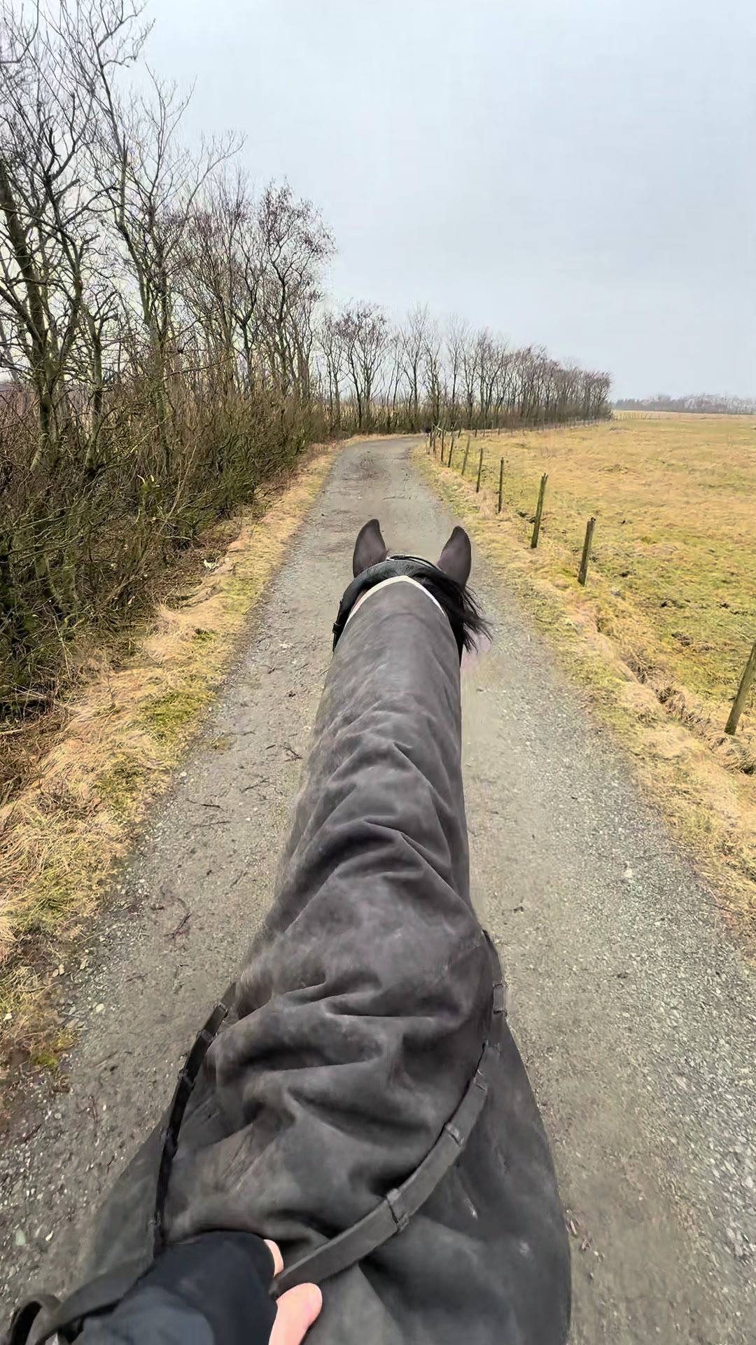 @Eline Lode