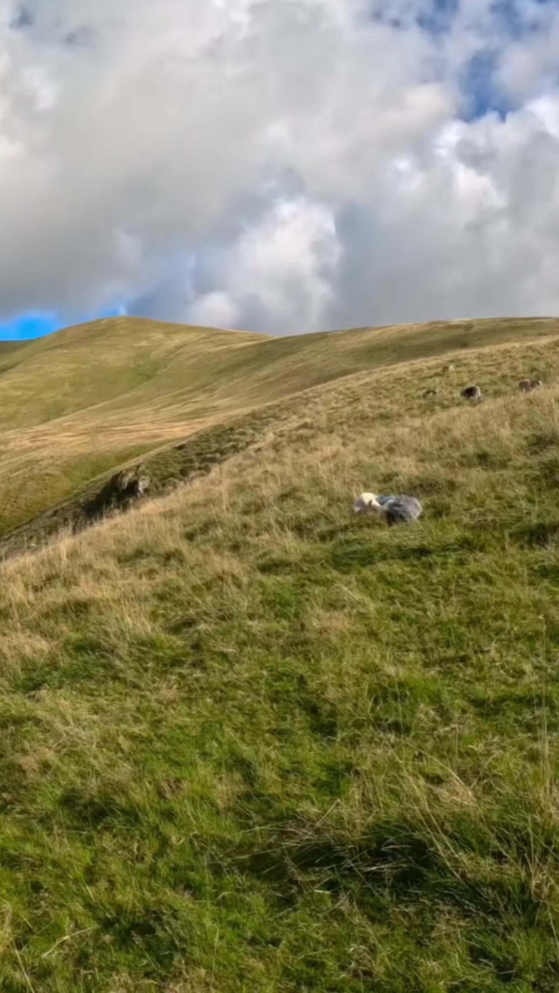 @Wild camping Britain