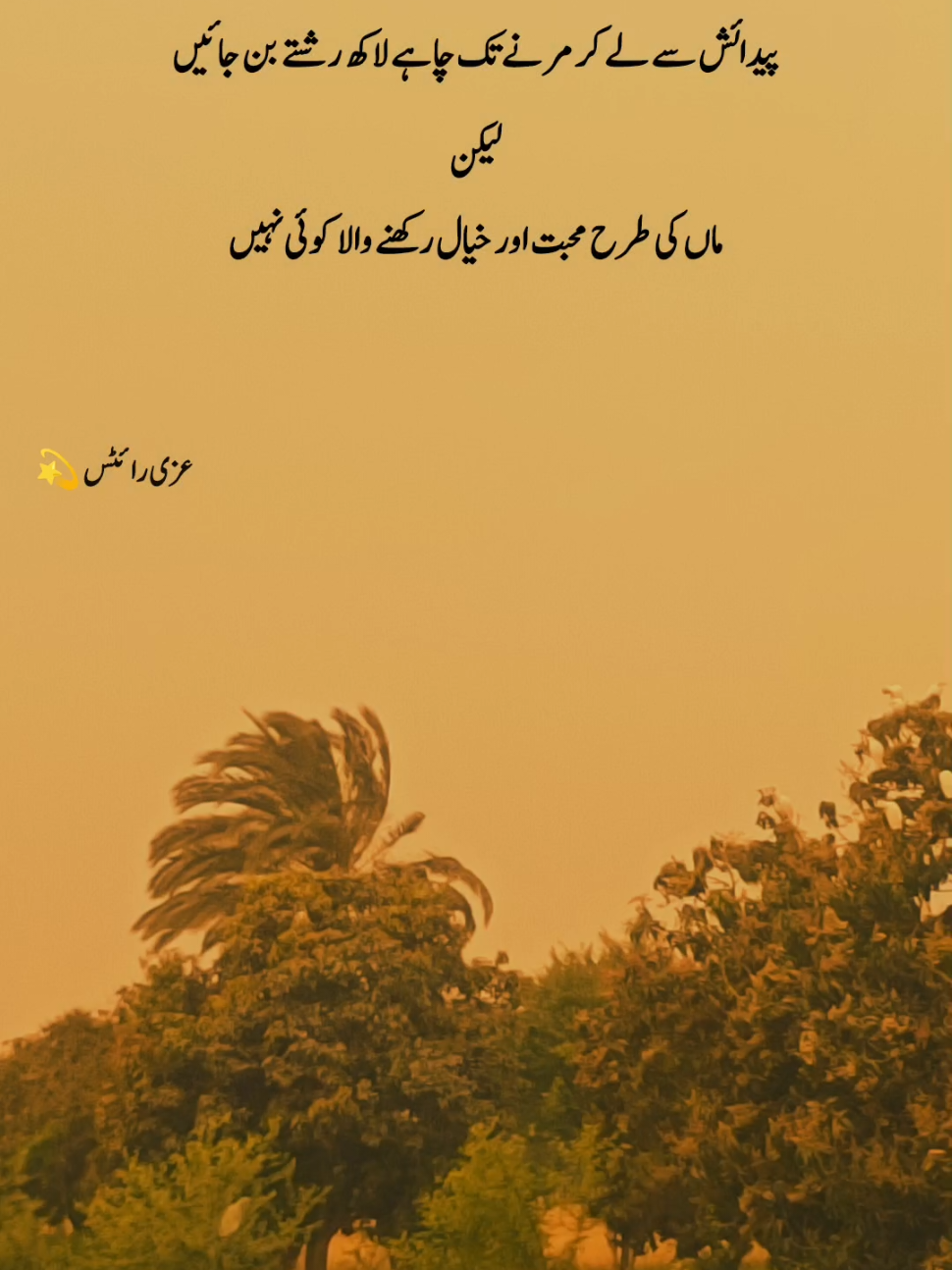 @Uzii write💫