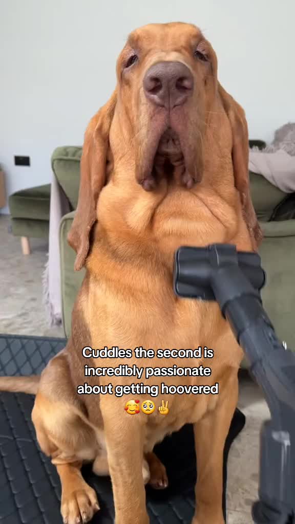 @Incomingcall