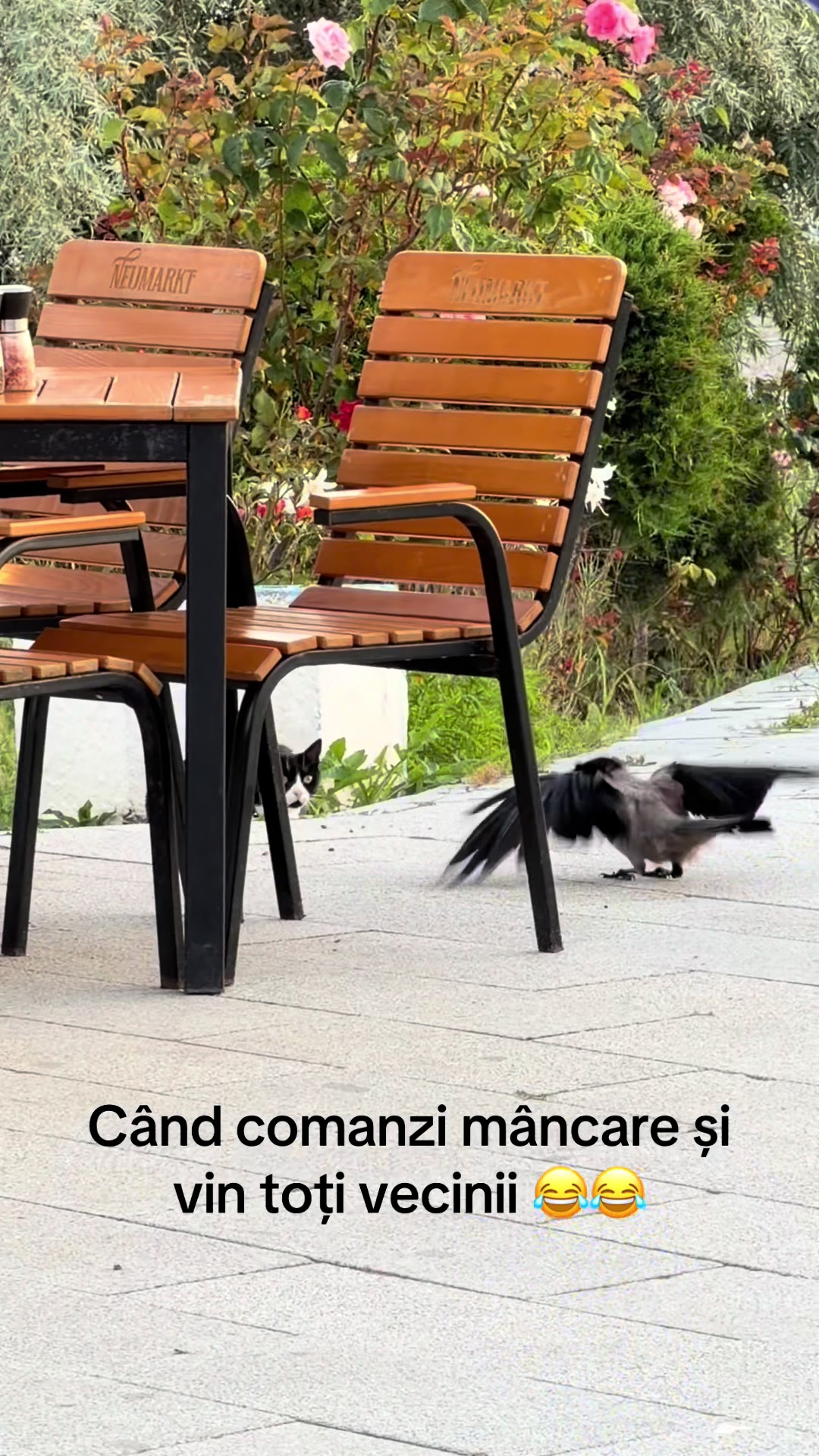 @B Alexandra653