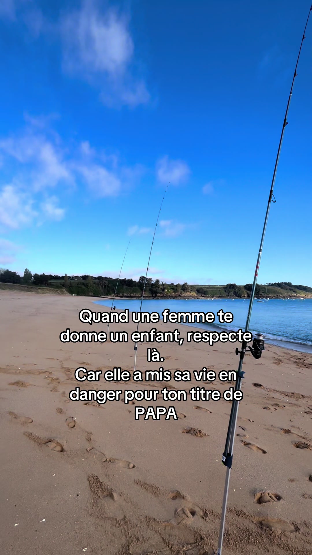 @Force.tranquille354 🏴&zwj;☠️🌪️