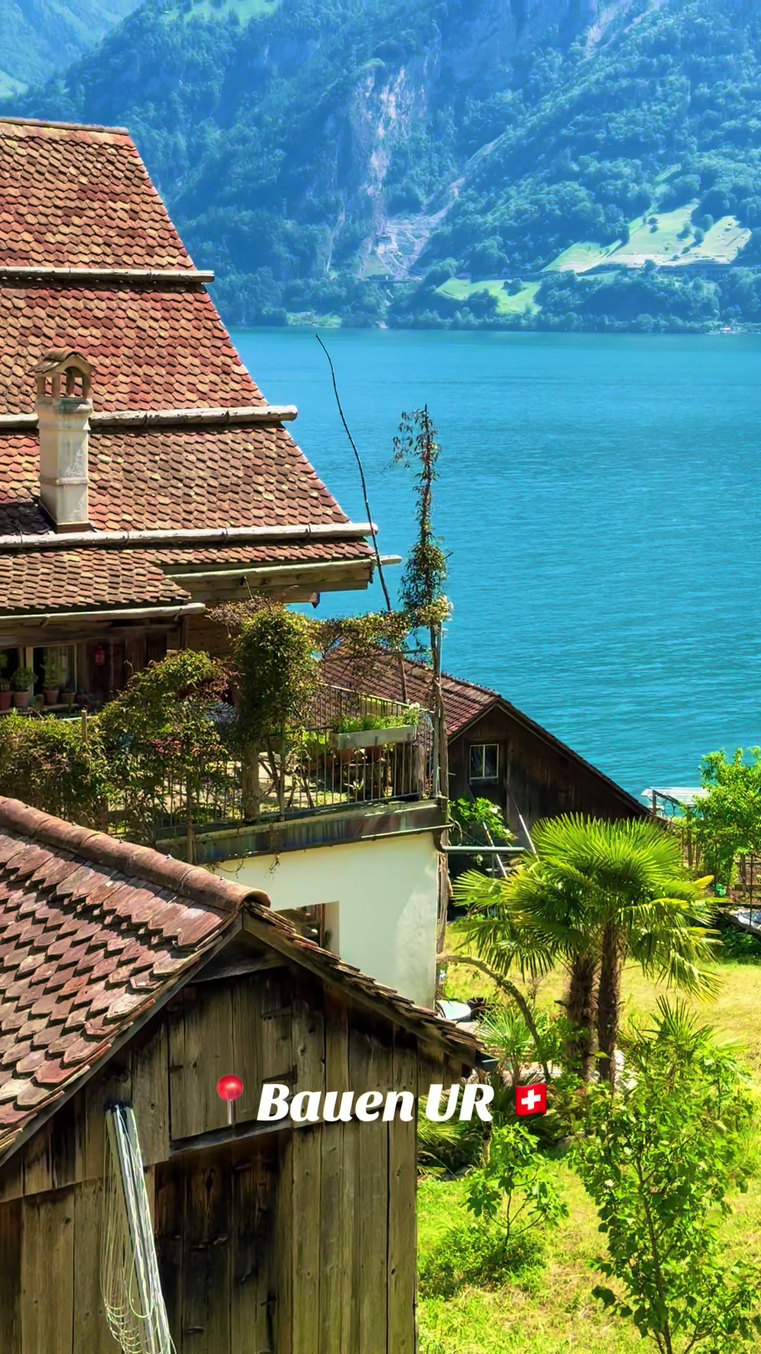 @swiss_alps