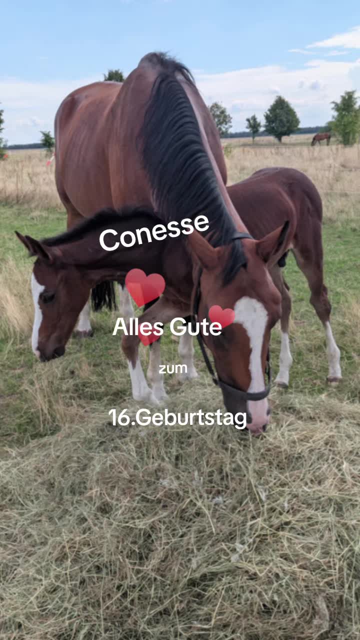 @utekraus0