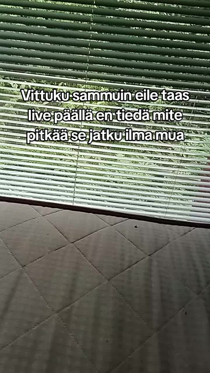 @LEMPEÄ JÄTTI
