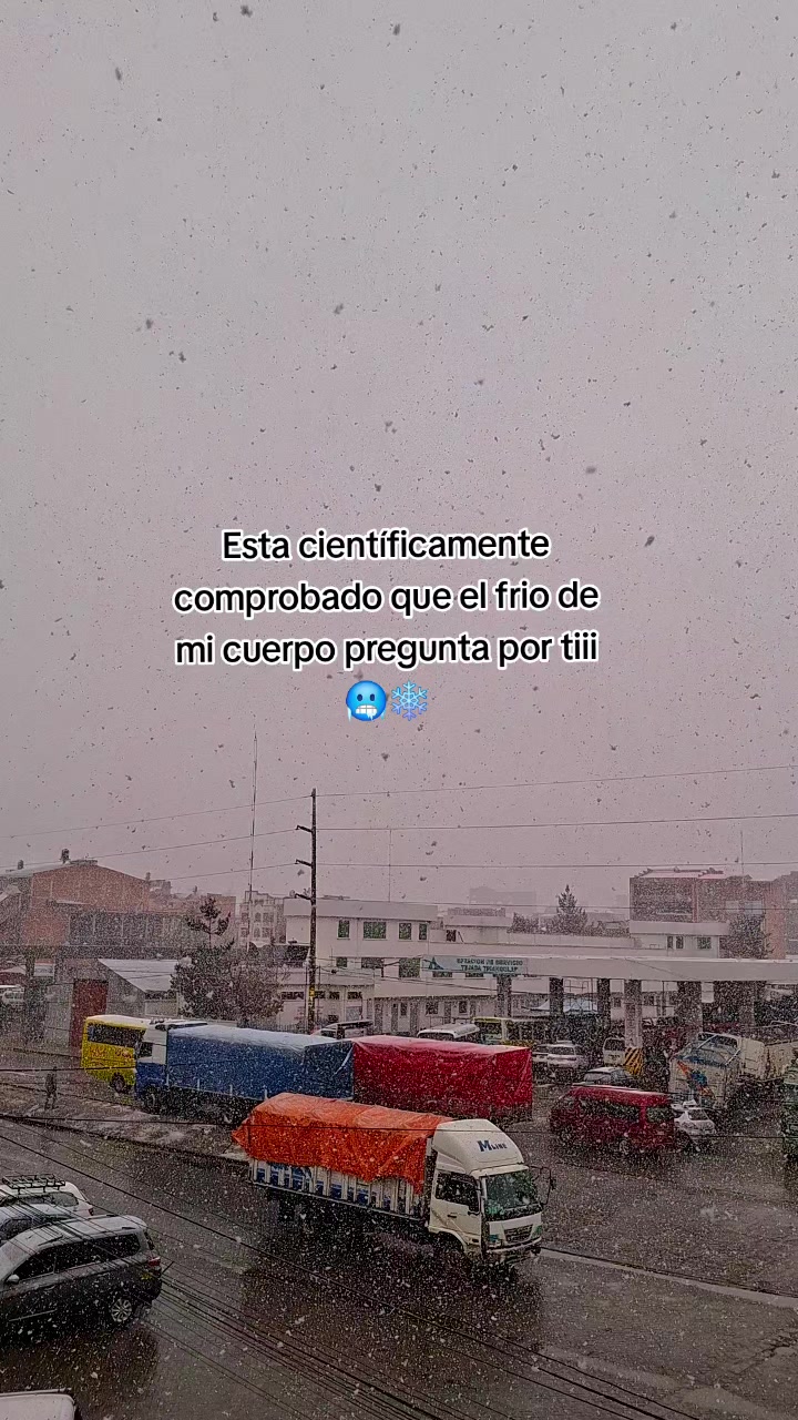 @CLAUDIA FLORES