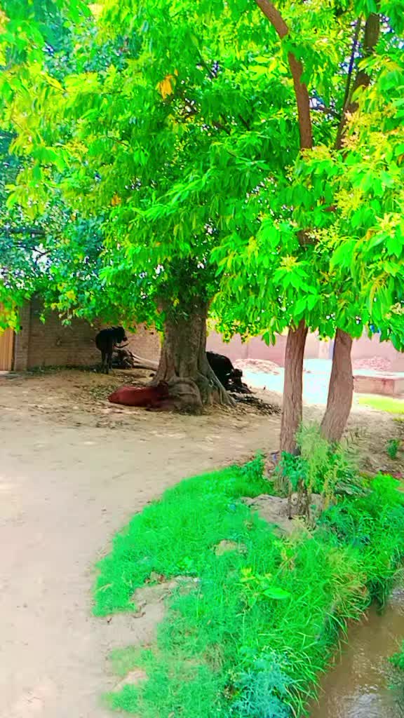 @Nadeem jutt