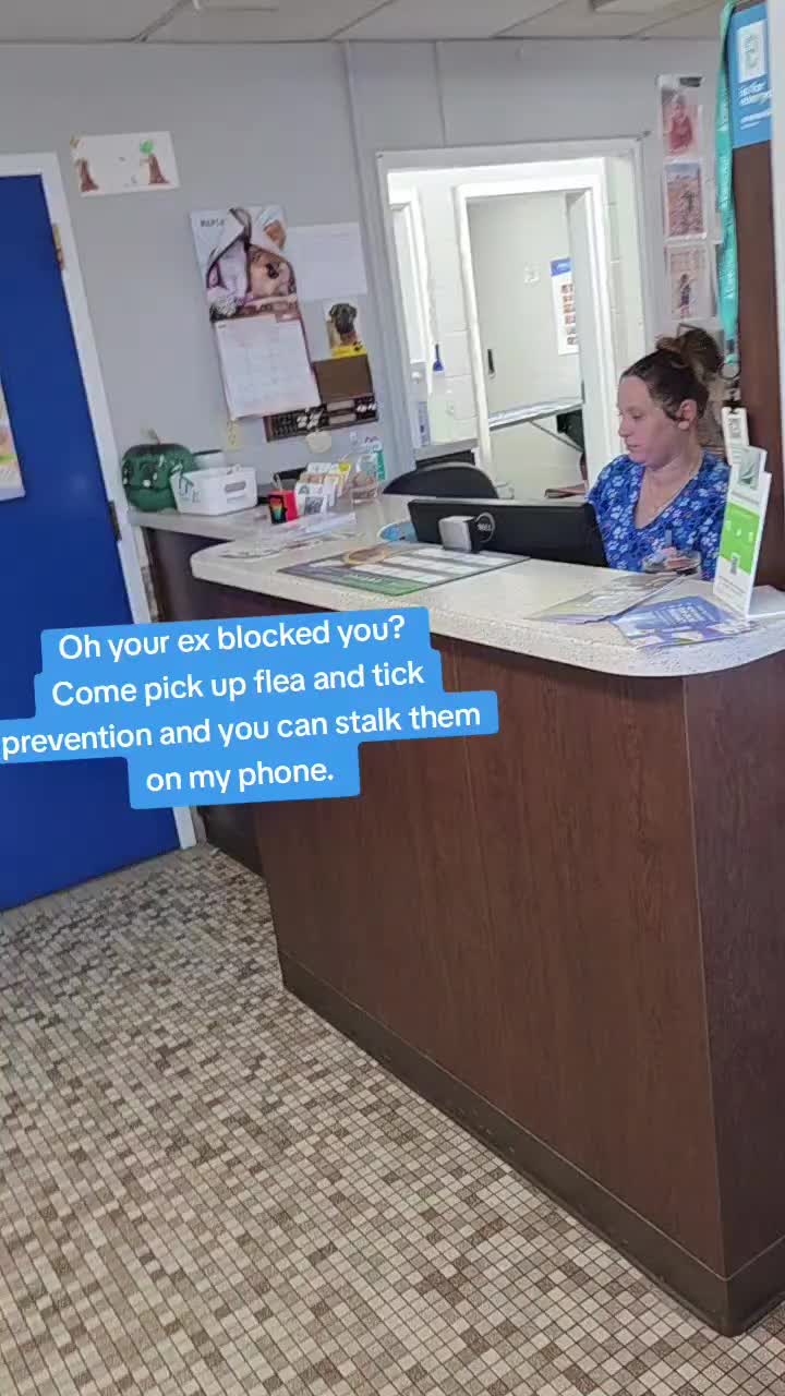 @Chateau Dog & Cat Hospital
