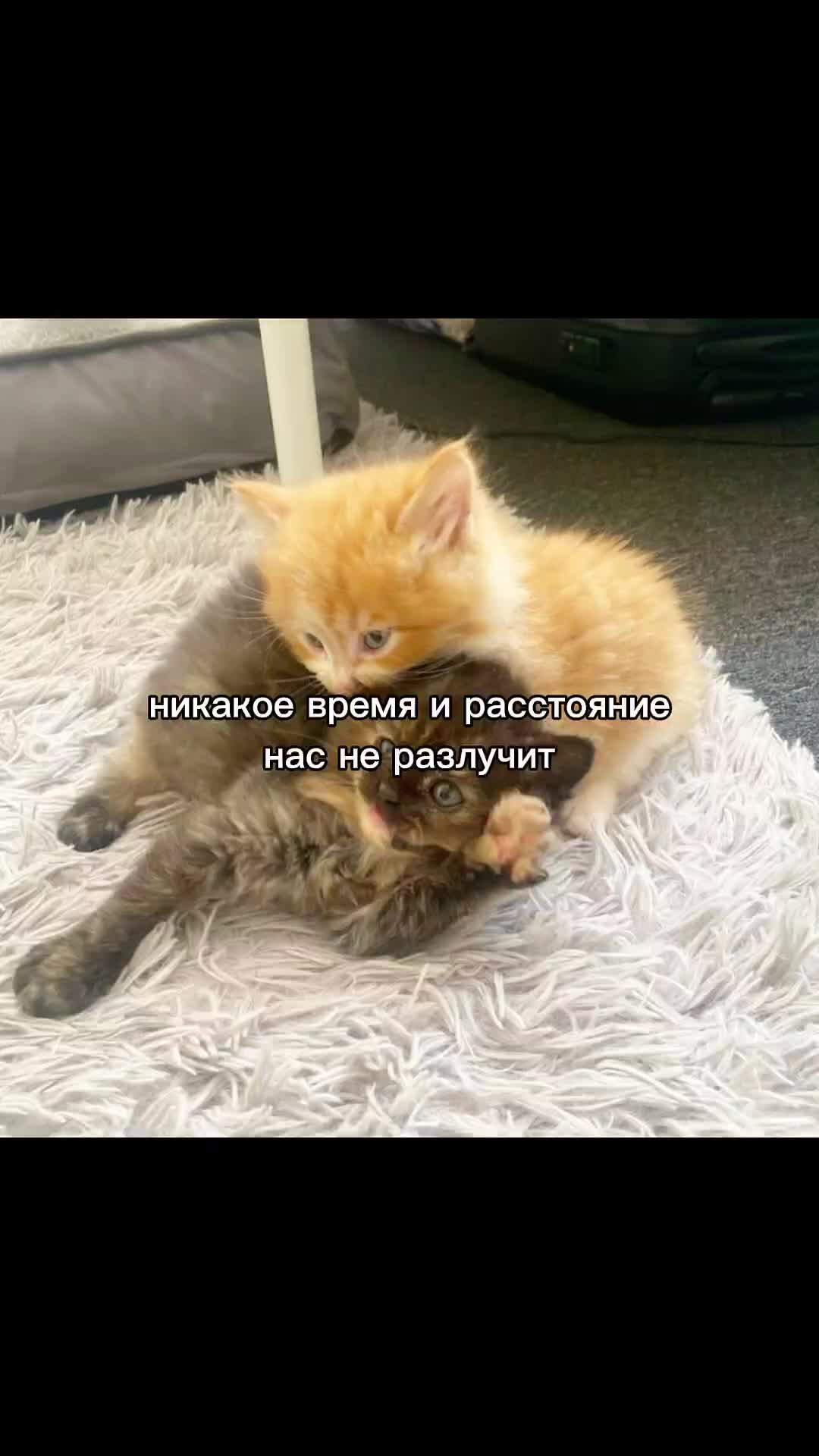 @dwee