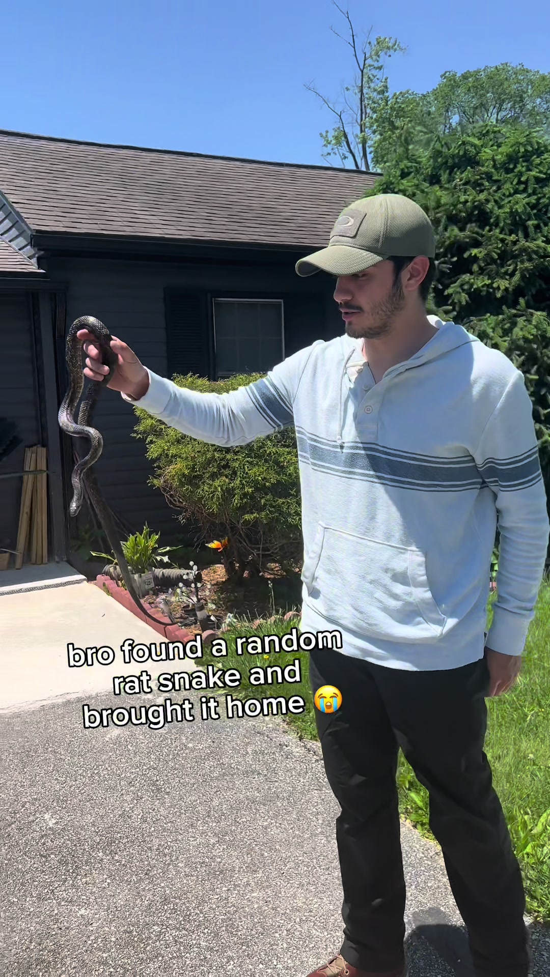 @Haley The Homesteader
