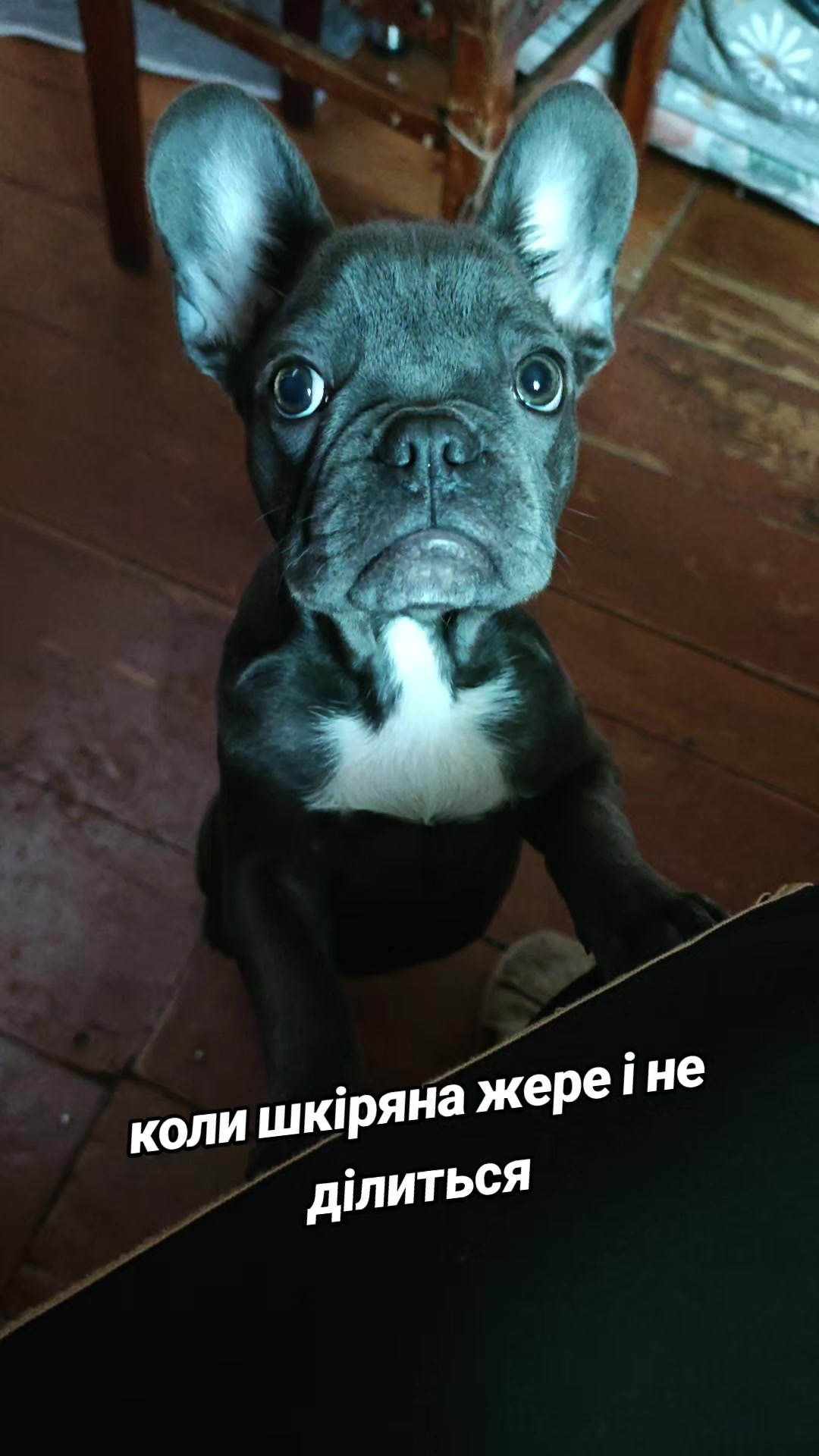 @Ксенія Ангел