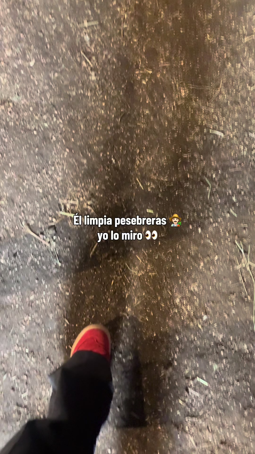 @Yuvitza Troncoso
