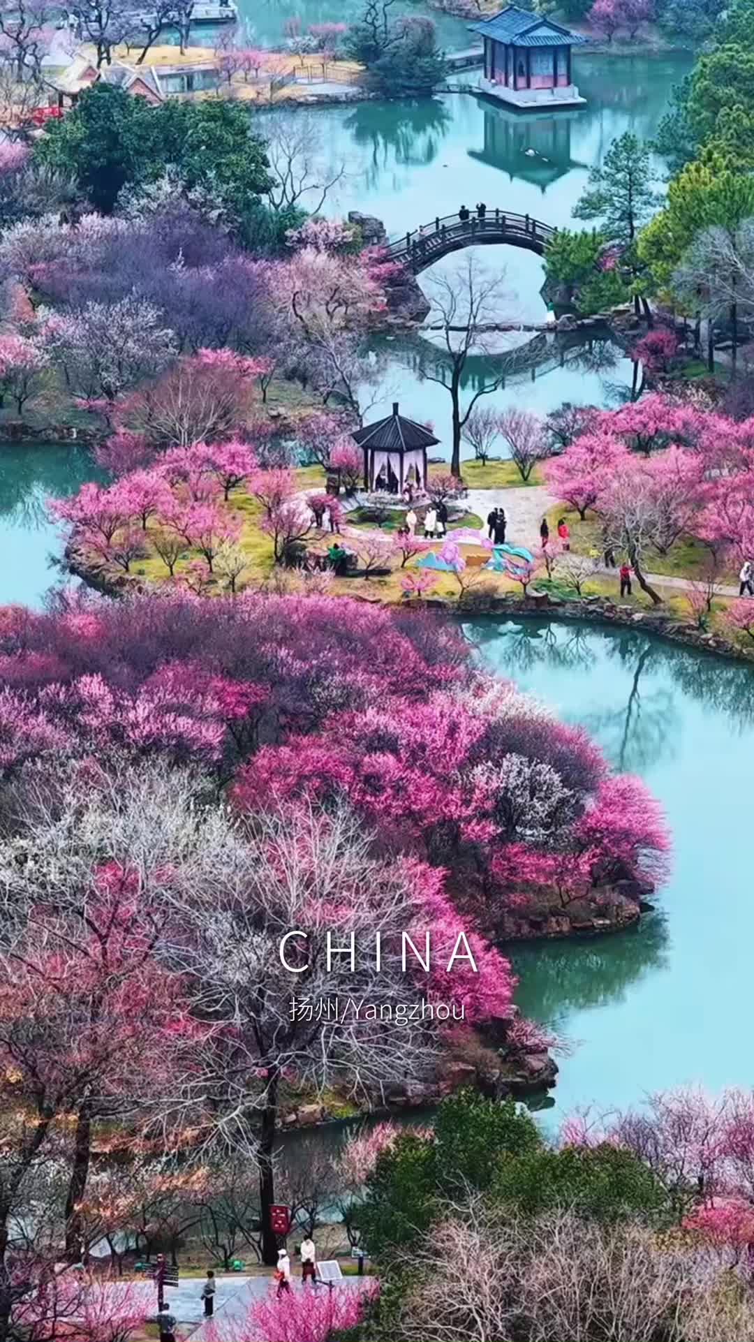 @Poetic China