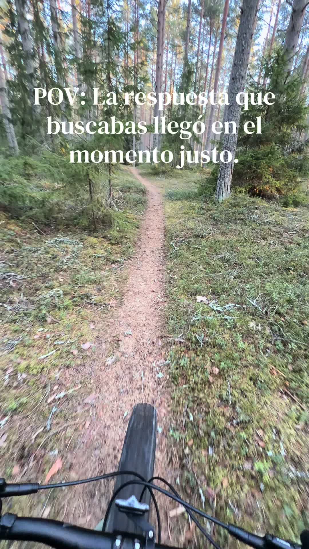 @Emanuel Santander |Reflexiónes