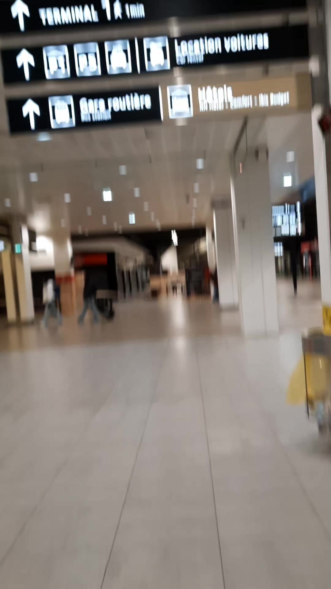 @๐จ๐ตLYON 19DZ๐ฉ๐ฟ