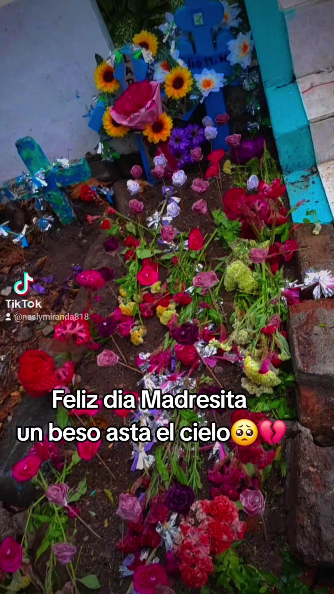 @La Miranda🥰