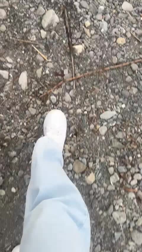 @🕸️