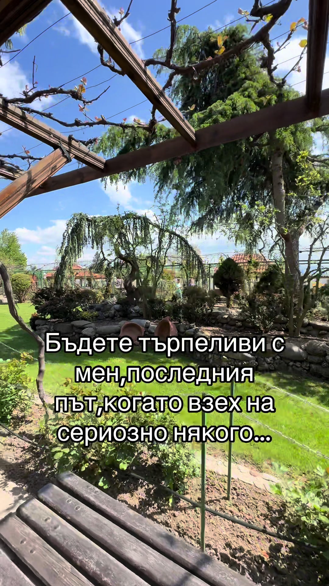 @ivelinakishev