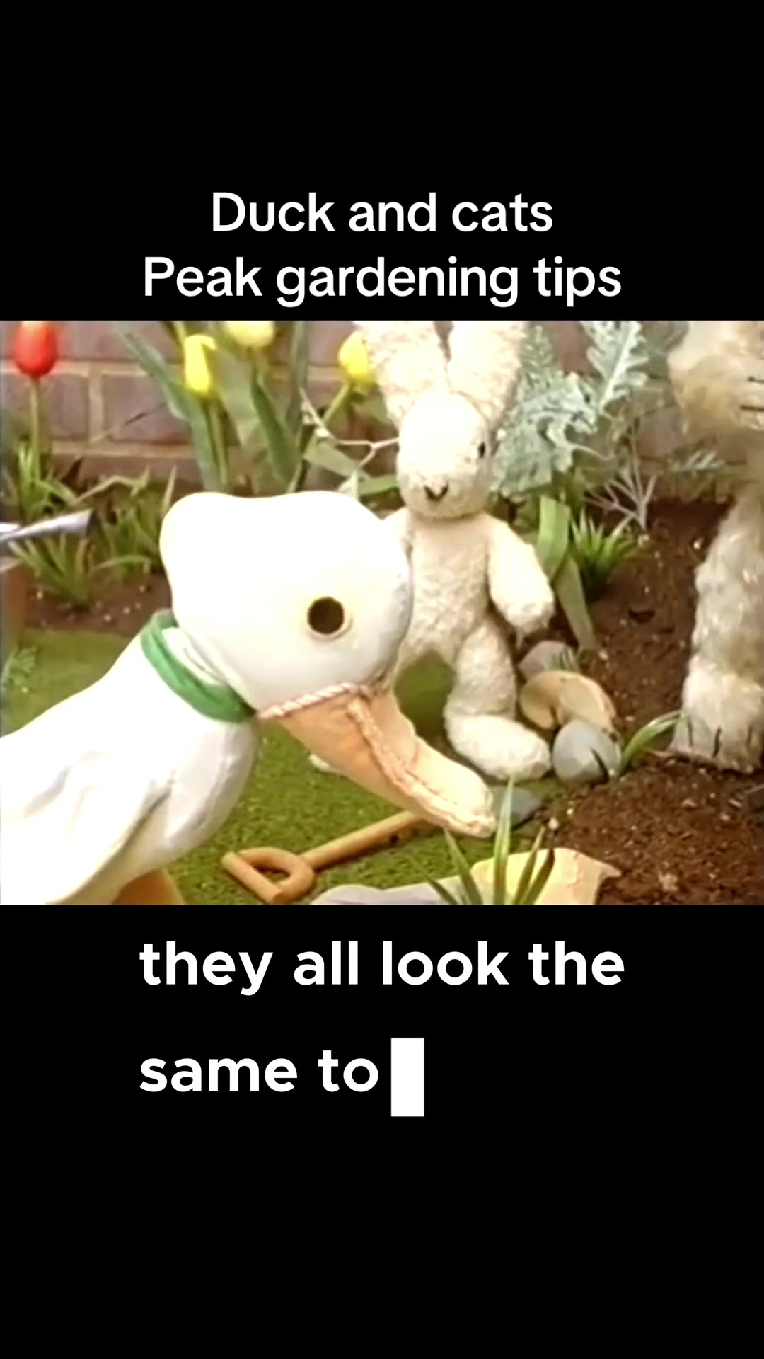@OldBearSquad