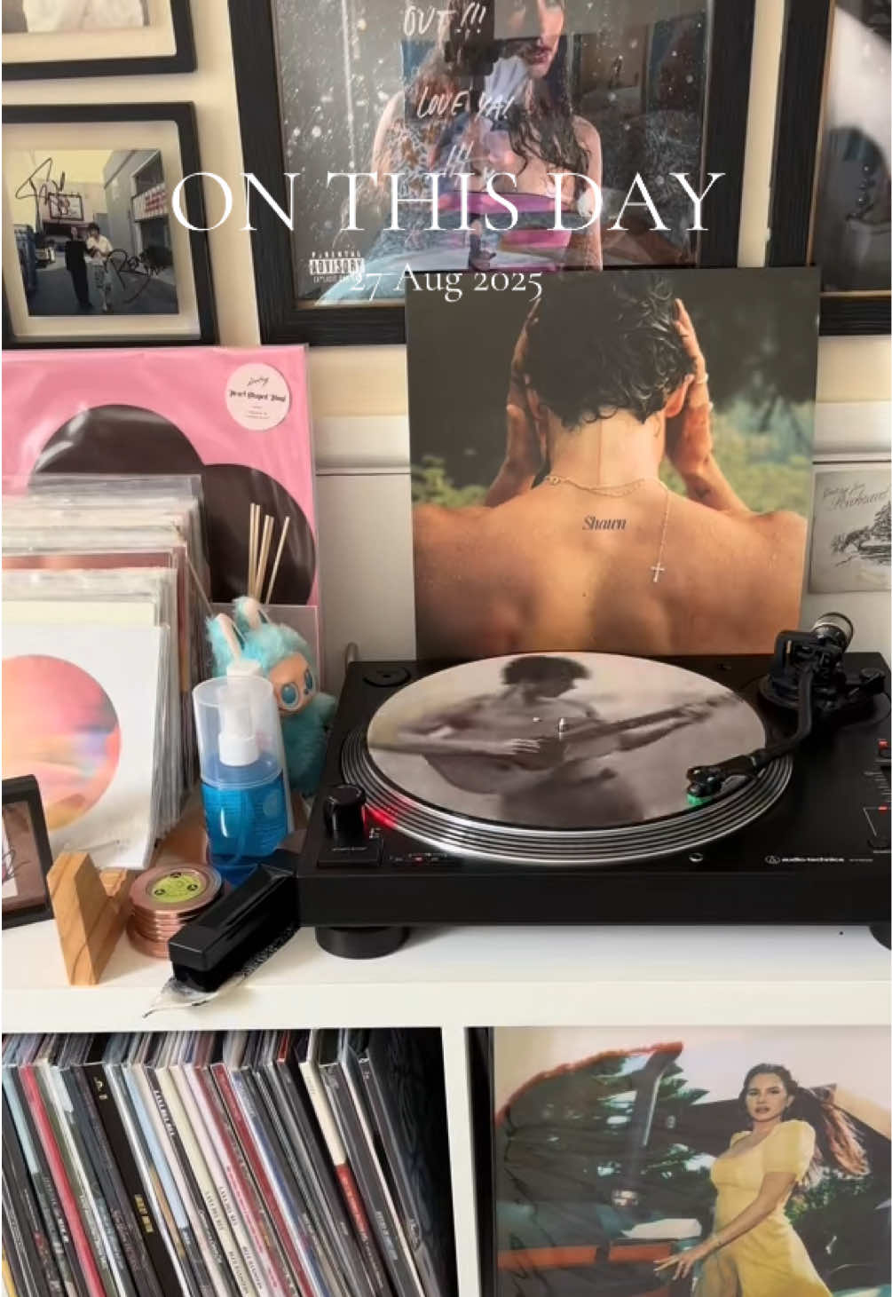 @allys_vinylhub🪩