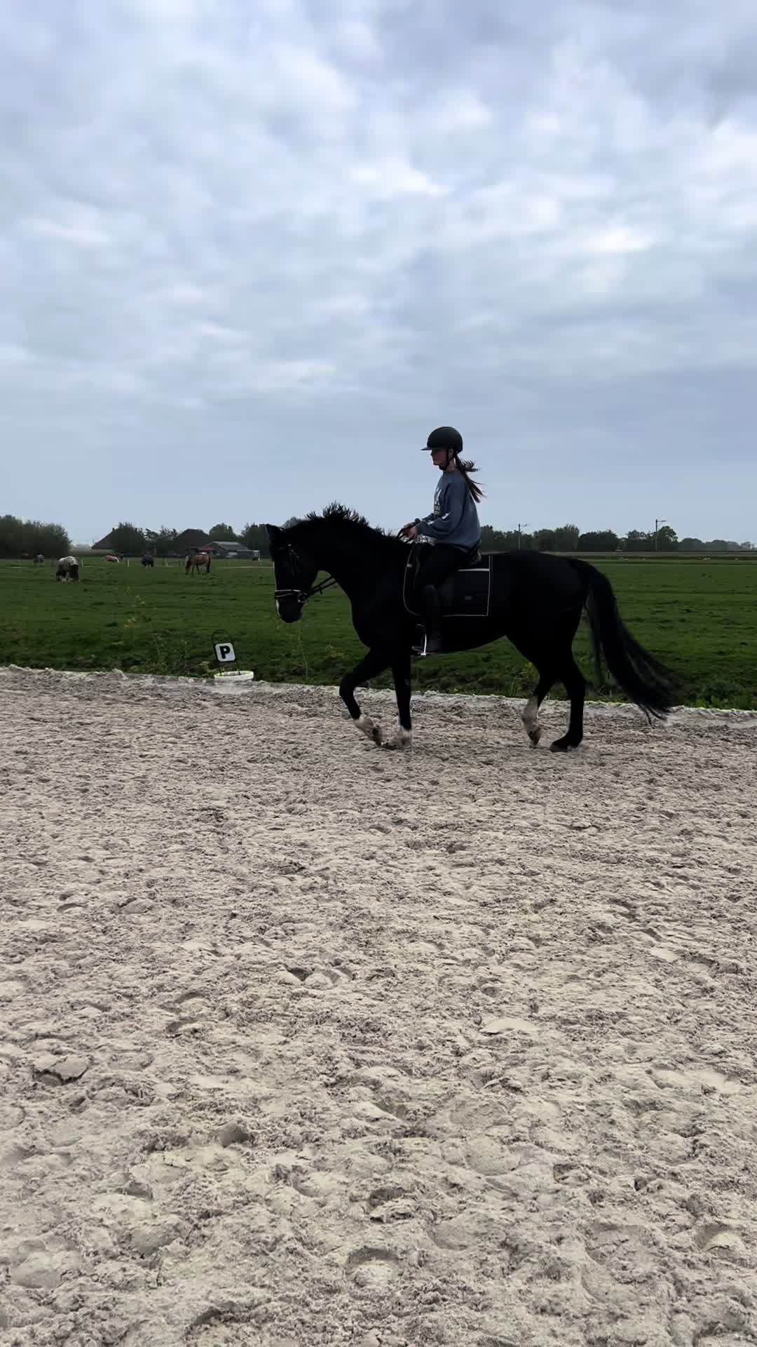 @🇳🇱Jill Kroet🇳🇱