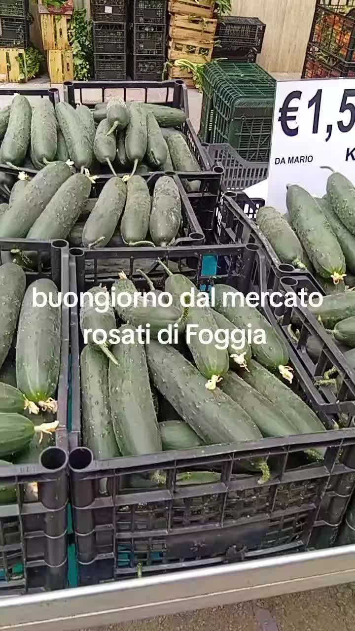 @mariodantonio7
